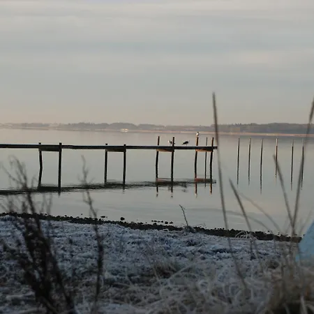 Pinenhus Отель Glyngore